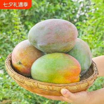 云南现摘现发青皮凯特芒果新鲜水果新鲜当季特大凯特芒鲜果实付7元到手包邮