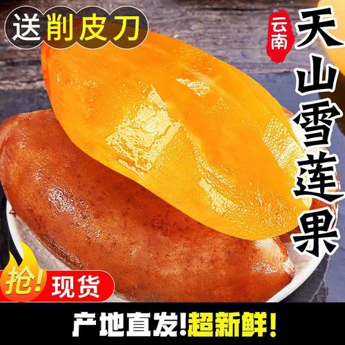 云南雪莲果新鲜红沙泥雪莲果新鲜水果时令水果整箱包邮