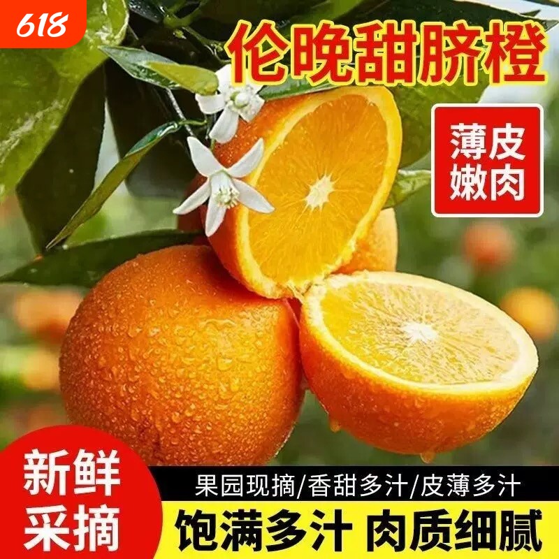正宗湖北秭归伦晚脐橙橙子旗官方旗舰店新鲜水果甜现摘春橙大果