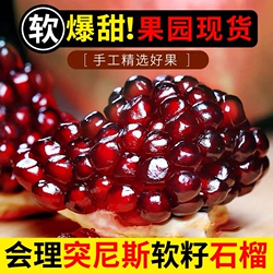 中秋礼盒精品果四川会理突尼斯软籽石榴