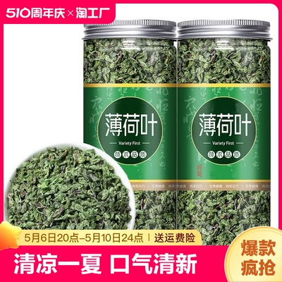 薄荷叶泡水新鲜薄荷茶干薄荷叶茶食用清凉可搭配胎菊柠檬片罐装