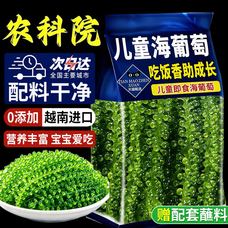 儿童海葡萄即食新鲜水葡萄海带裙带菜海草丝开袋小零食官方旗舰店