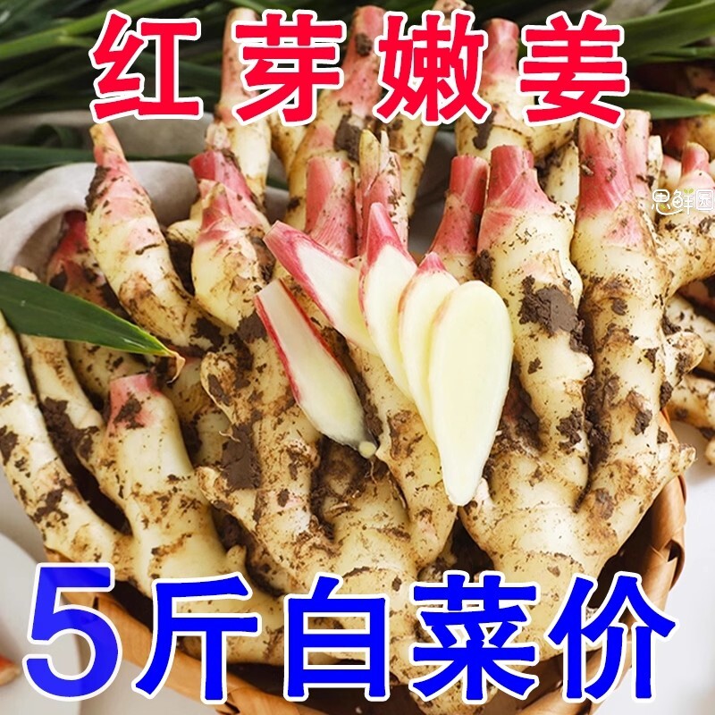 现挖嫩姜新鲜大仔姜子姜山东红芽生姜姜醋泡姜泡菜姜