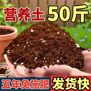 50升大包营养土通用型疏松透气泥炭种菜土养花土壤多肉种植有机土