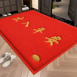 出入平安入户门地垫丝圈防滑门垫进门门口门外脚垫子入户室外地毯