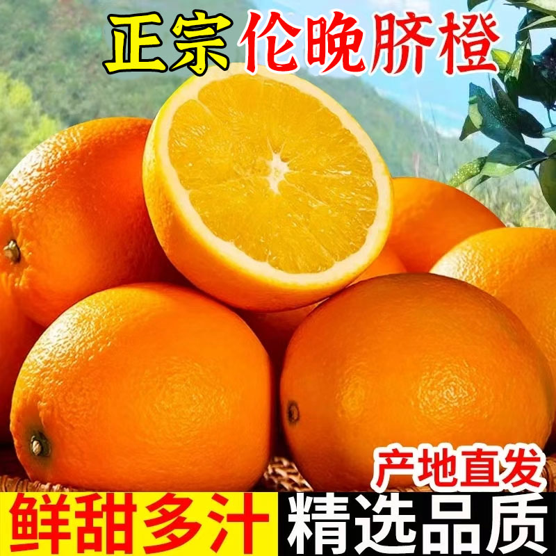 正宗秭归脐橙伦晚脐橙橙子新鲜大果应季孕妇水果产地直发手剥甜橙图片