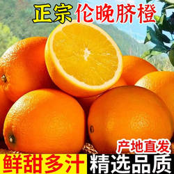 正宗秭归脐橙伦晚脐橙橙子新鲜大果应季孕妇水果产地直发手剥甜橙