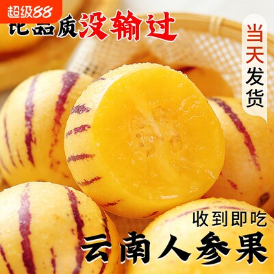 云南人参果新鲜水果树上熟七彩黄肉圆果人生果当季整箱包邮石林