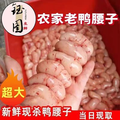 【老鸭腰子】特大号新鲜现杀公鸭腰子卵子冷冻鸭货鸭肾火锅批发