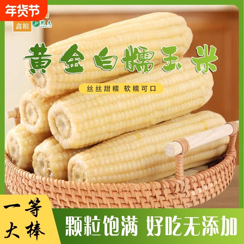 黑龙江白糯玉米8根单棒280g粘玉米素食真空包装甜糯粘大棒