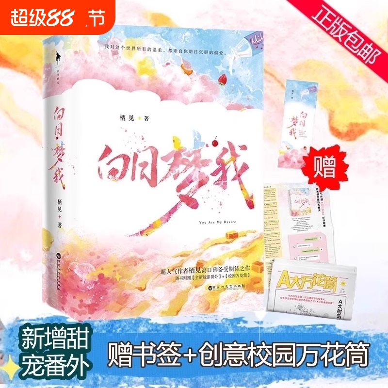 赠创意校园万花筒书签白日梦我栖见著的桀骜校霸vs外刚内柔的颓废少女青春言情小说书正版包邮