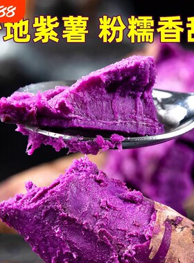 紫薯新鲜板栗红薯番薯地瓜蜜薯糖心山芋烟薯香薯蔬菜农家自种沙地