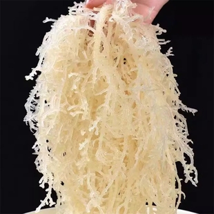 新鲜龙须菜500g克凉拌菜海产非干货海石花菜海藻草海发菜鹿角菜