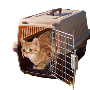 宠物航空箱猫咪狗狗便携托运箱外出车载猫笼子国航大中小型太空箱