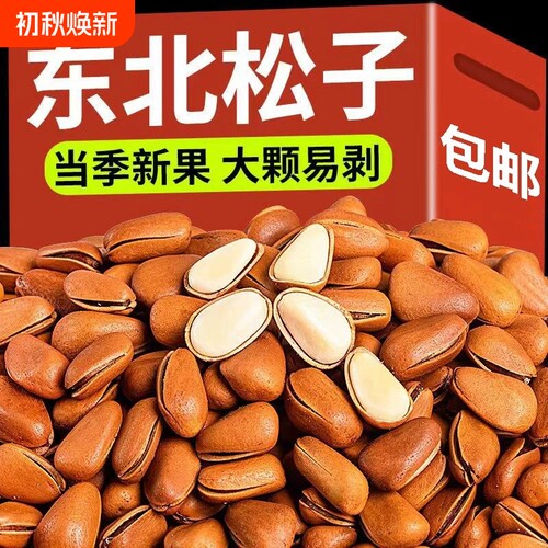 新货大颗开口松子东北产孕妇零食