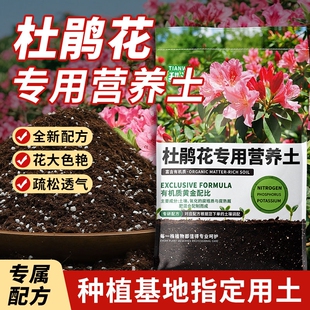 杜鹃专用土高山红花盆栽四季种植家用透气喜酸植物通用型形营养土