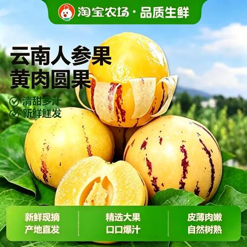 人参果新鲜水果云南石林人参果