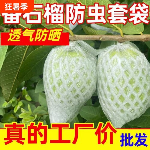 大果番石榴芭乐套袋专用袋百香果小果防虫袋一体袋大号包防鸟