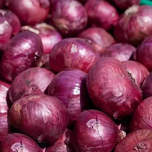 山东紫皮洋葱新鲜5斤水果生吃甜圆葱洋葱头当季农家蔬菜生吃圆葱