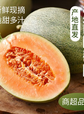 海南哈密瓜当季新鲜水果