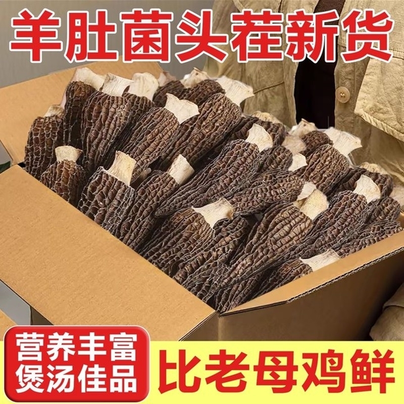 新货野生云南羊肚菌价孕妇干货正品煲汤食材农家特产滋补养生新鲜