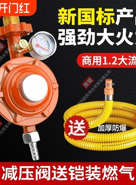 【厂家直销批发】新国标安检必过大流量JYT-1.2液化气安全减压阀