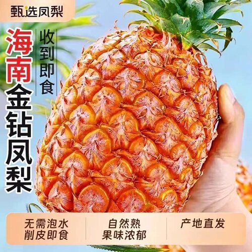 海南金钻凤梨新鲜水果鲜菠萝当季手撕正宗大果带箱装特产孕妇
