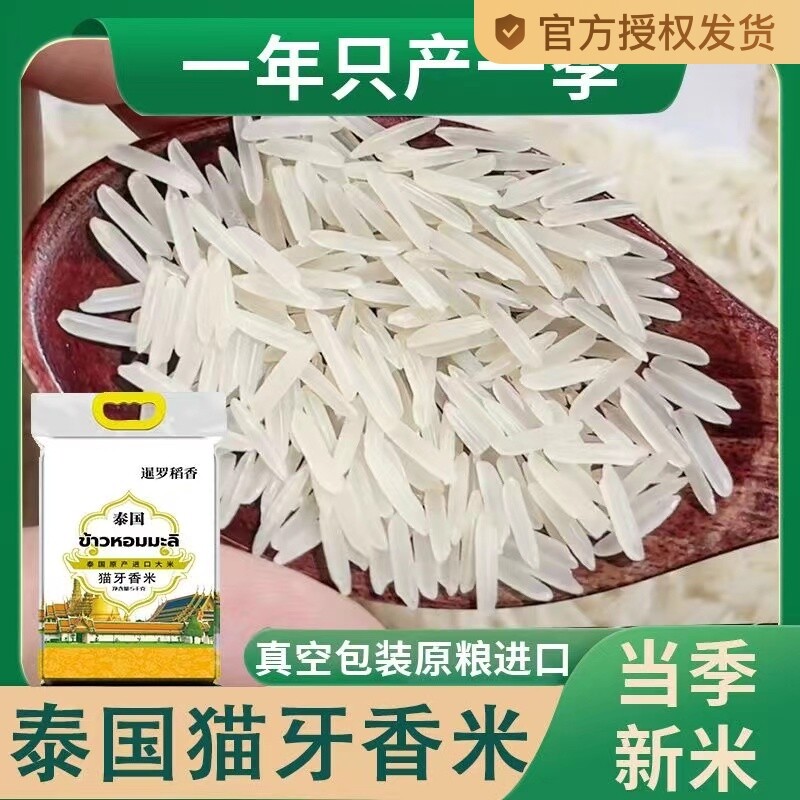 原粮泰国大米香米猫牙米泰甄进口长粒茉莉香米新米真空包装10斤装