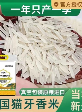 原粮泰国大米香米猫牙米泰甄进口长粒茉莉香米新米真空包装10斤装