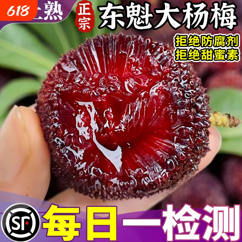 顺丰大果正宗东魁大杨梅黑炭鲜杨梅新鲜水果当季采摘孕妇水果整箱