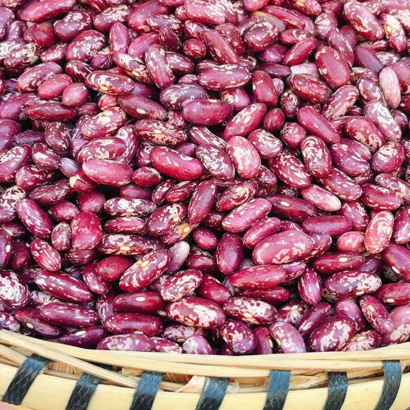 25年贵州豆米四季豆米花豆酸菜农家饭豆五谷杂粮红芸豆新鲜芸豆