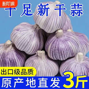 包邮 紫白皮大蒜头干蒜批发新鲜便宜特大果多瓣红皮蒜 足干蒜