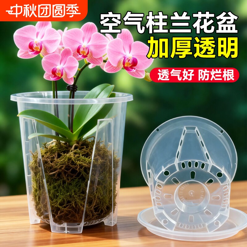 蝴蝶兰专用花盆透明控根塑料透气加厚兰花高端青山托盘空气柱阳台										