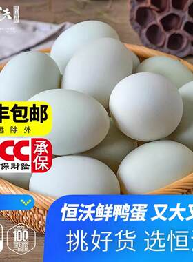 生鸭蛋新鲜农家散养青皮鲜生鸭蛋