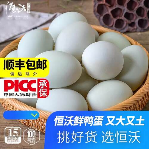 生鸭蛋新鲜农家散养青皮鲜生鸭蛋