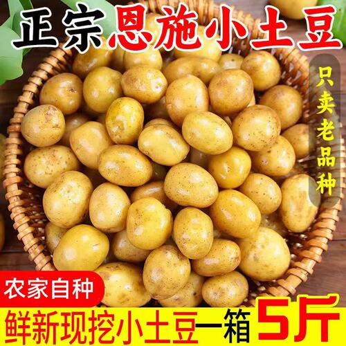 恩施小土豆农家正宗新鲜