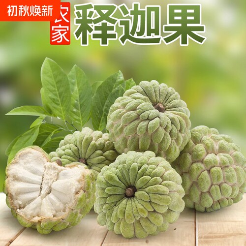 顺丰潮汕樟林林檎大目释迦果大个番荔枝佛头果牛奶释迦摩尼果水果
