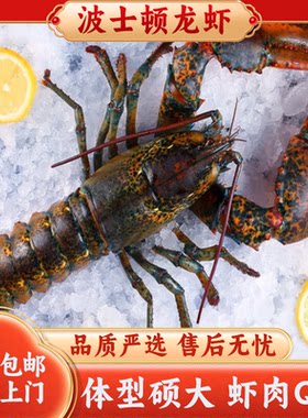 波士顿龙虾鲜活冷冻10斤特大波龙