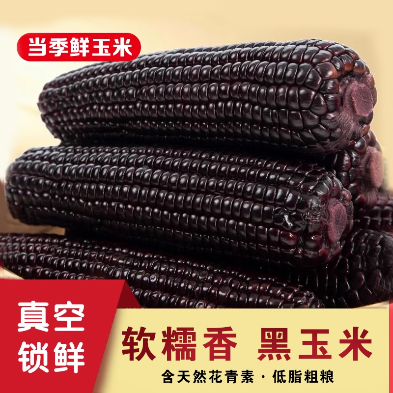 黑糯玉米真空包装新鲜甜糯玉米棒子包甜糯黏黑玉米