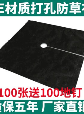 PE打孔防草布果园果树盖草布脐橙专用遮草布除草新型固定植物新款