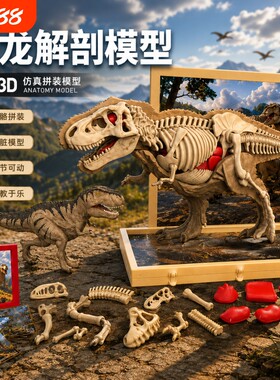 3D立体恐龙动物拼装半骨架模型