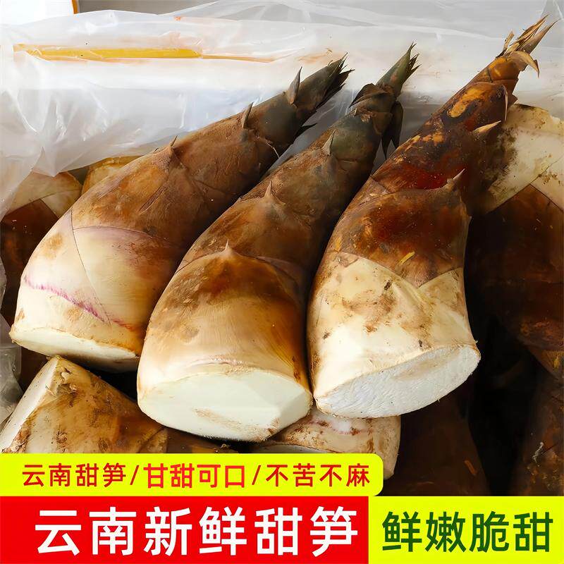 云南甜笋新鲜竹笋脆嫩生吃不焯水水果凉拌火锅食用图片