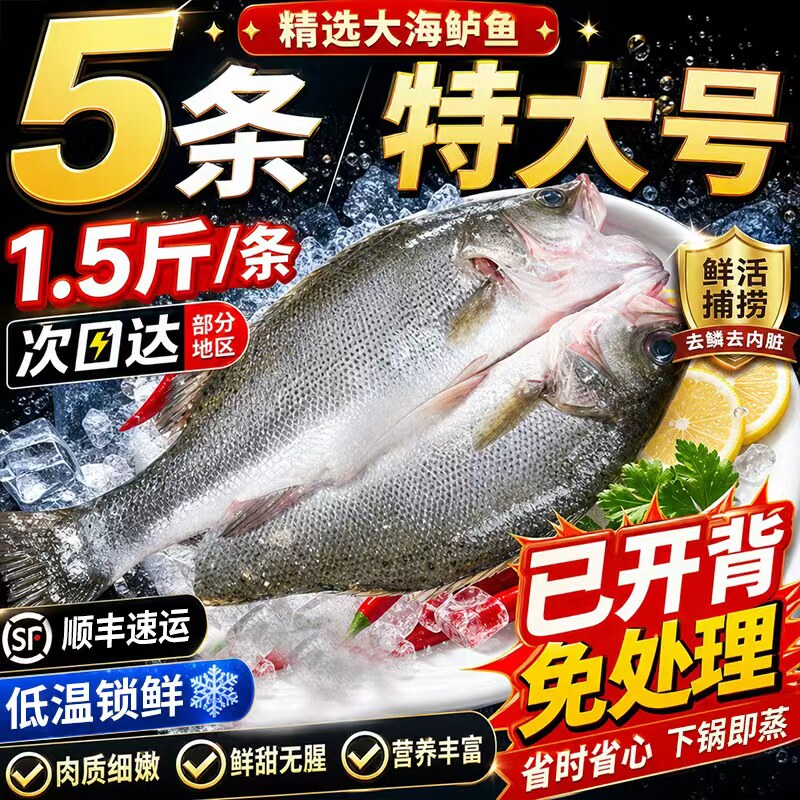 海鲈鱼开背新货鲜冻鲜活深海鱼白