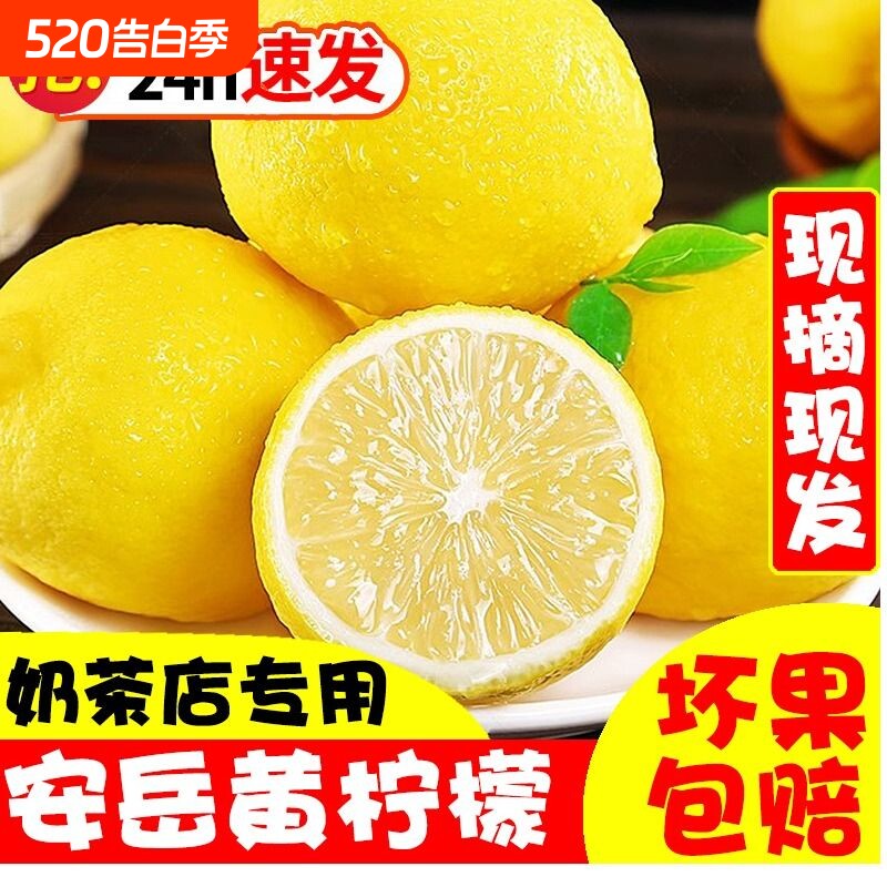 正宗新鲜品质果柠檬四川安岳黄柠檬当季鲜果水果薄皮奶茶专用大果