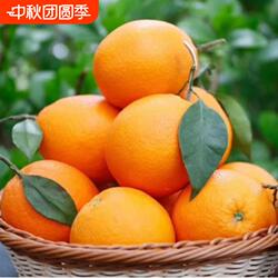正宗广西贺州市富川脐橙新鲜橙子大果孕妇水果甜橙现摘现发年货节