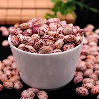 2025奶花芸豆 5斤 农家自产雀蛋豆奶白花豆腰豆大碴粥饭豆奶花豆