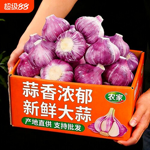 【新蒜】2026年云南紫皮大蒜鲜蒜红皮鲜大蒜湿蒜多瓣蒜新鲜蔬菜