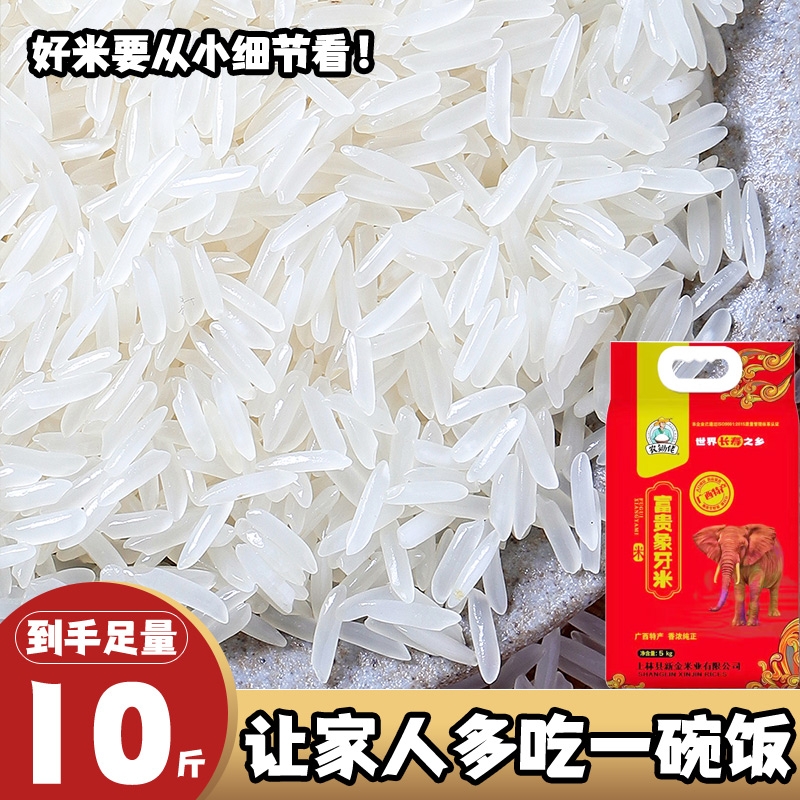 象牙米正宗长粒香米当季新米农家米丝苗米猫牙米10斤大米籼米现磨