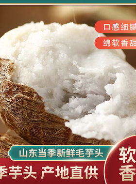 山东牛奶小芋头新鲜毛芋魔芋香芋甜糯当季糯芋头各地味道