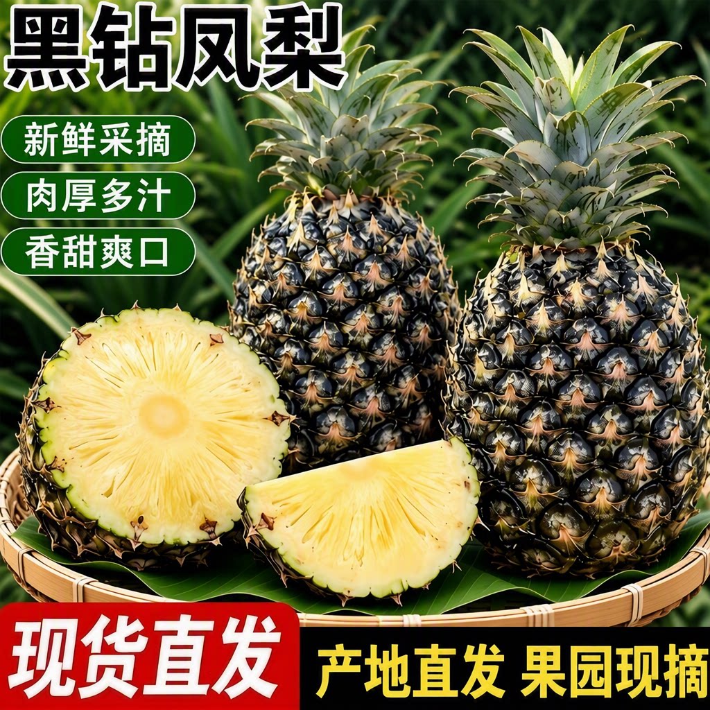 云南黑钻凤梨新鲜水果鲜菠萝当季手撕正宗大果装特产孕妇热带现摘
